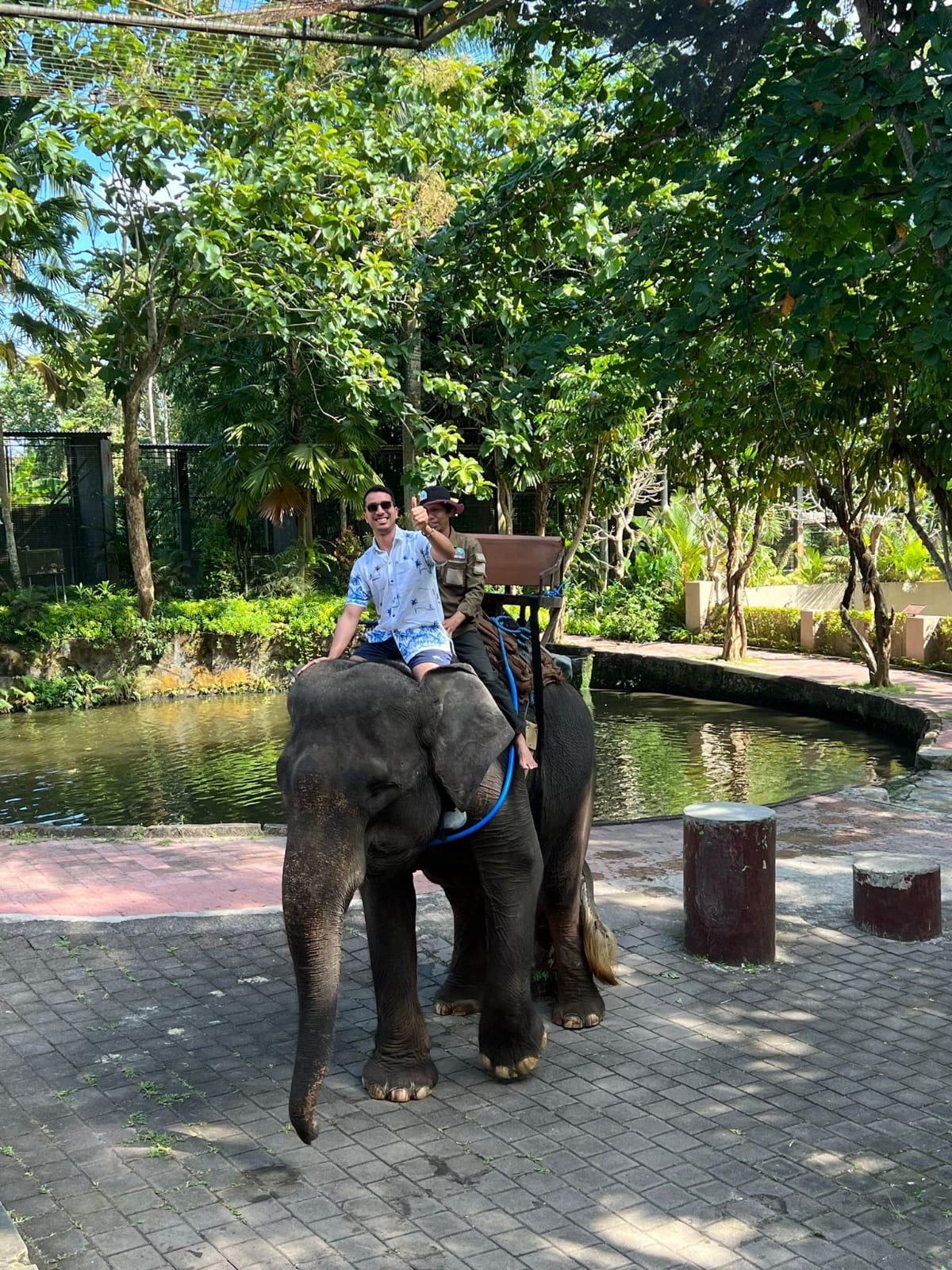 Elephant Ride